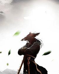 逆位迷宫完结了吗